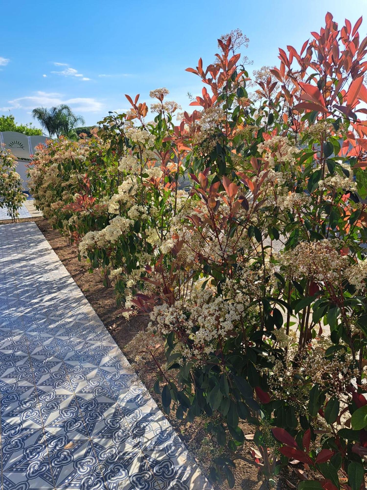 Paoma Bed & Breakfast Agropoli Dış mekan fotoğraf